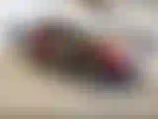 Vehicle Image- 2015 Ford Explorer