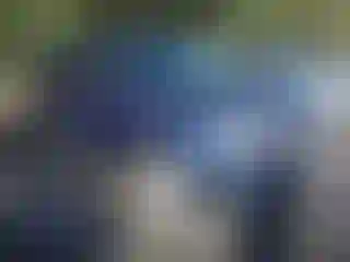 Vehicle Image- 2016 Ford Explorer