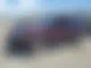 Vehicle Image- 2018 Ford Explorer
