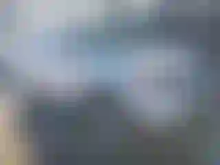 Vehicle Image- 2013 Ford Explorer