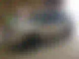 Vehicle Image- 2013 Ford Explorer