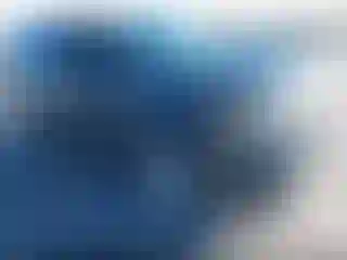 Vehicle Image- 2015 Ford Explorer
