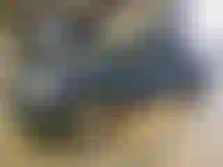 Vehicle Image- 2016 Ford Explorer