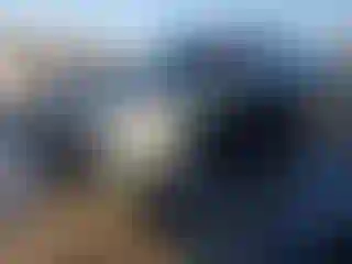 Vehicle Image- 2016 Ford Explorer