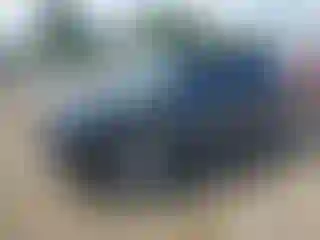Vehicle Image- 2017 Ford Explorer