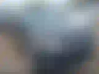 Vehicle Image- 2017 Ford Explorer