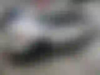 Vehicle Image- 2013 Ford Explorer