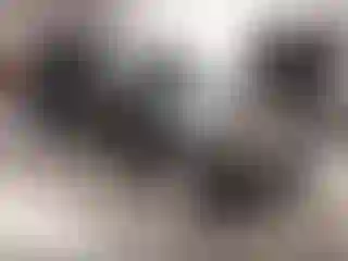 Vehicle Image- 2017 Ford Explorer