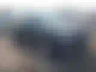 Vehicle Image- 2017 Ford Explorer