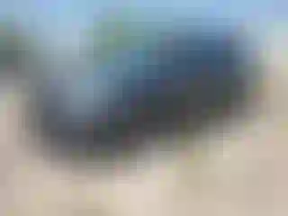 Vehicle Image- 2017 Ford Explorer