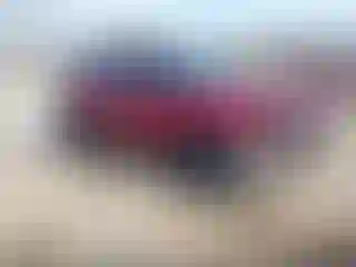Vehicle Image- 2017 Ford Explorer