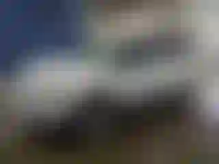 Vehicle Image- 2019 Ford Explorer