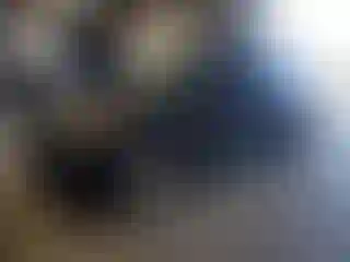 Vehicle Image- 2014 Ford Explorer