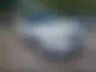 Vehicle Image- 2017 Ford Explorer