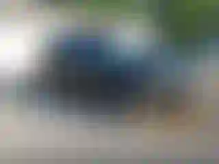 Vehicle Image- 2017 Ford Explorer