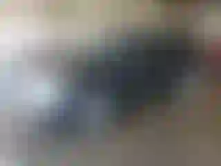 Vehicle Image- 2013 Ford Explorer