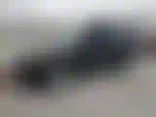 Vehicle Image- 2015 Ford Explorer