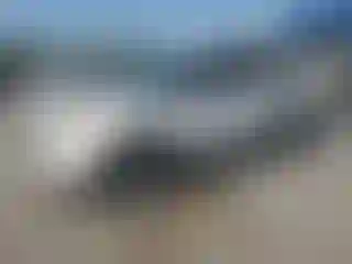 Vehicle Image- 2015 Ford Explorer