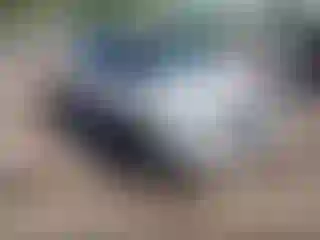 Vehicle Image- 2016 Ford Explorer