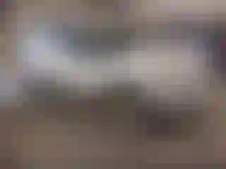 Vehicle Image- 2016 Ford Explorer