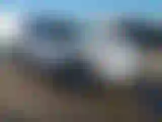 Vehicle Image- 2017 Ford Explorer