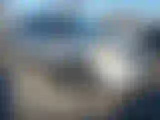 Vehicle Image- 2015 Ford Explorer