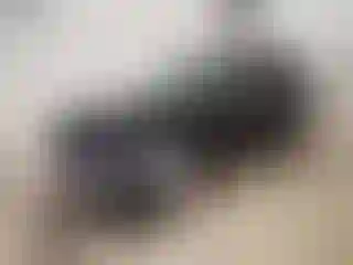 Vehicle Image- 2016 Ford Explorer