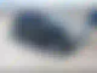 Vehicle Image- 2016 Ford Explorer