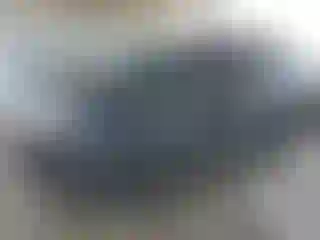 Vehicle Image- 2017 Ford Explorer
