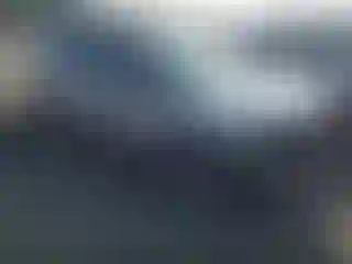 Vehicle Image- 2017 Ford Explorer