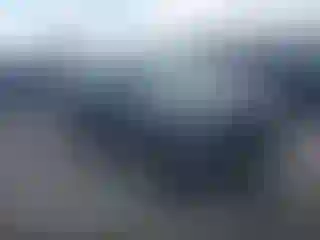 Vehicle Image- 2017 Ford Explorer