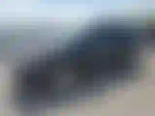 Vehicle Image- 2014 Ford Explorer