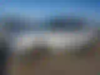 Vehicle Image- 2016 Ford Explorer