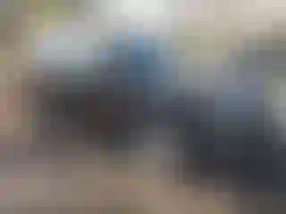 Vehicle Image- 2017 Ford Explorer