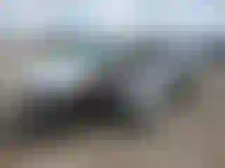 Vehicle Image- 2018 Ford Explorer