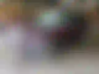 Vehicle Image- 2019 Ford Explorer