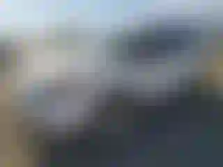 Vehicle Image- 2013 Ford Explorer