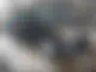 Vehicle Image- 2013 Ford Explorer