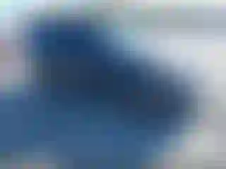 Vehicle Image- 2013 Ford Explorer