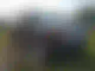 Vehicle Image- 2014 Ford Explorer