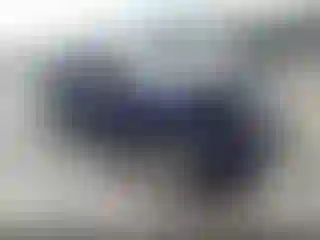Vehicle Image- 2014 Ford Explorer