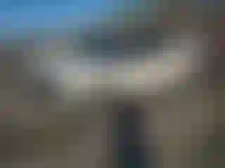 Vehicle Image- 2016 Ford Explorer