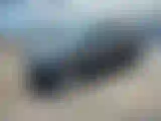 Vehicle Image- 2016 Ford Explorer