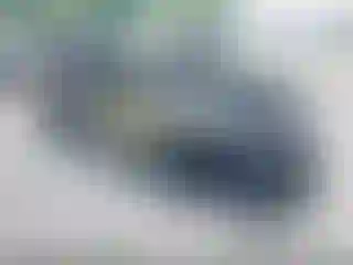 Vehicle Image- 2017 Ford Explorer