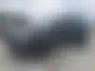 Vehicle Image- 2017 Ford Explorer