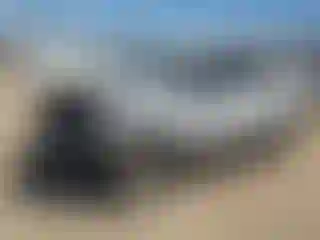Vehicle Image- 2019 Ford Explorer