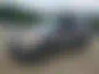 Vehicle Image- 2013 Ford Explorer