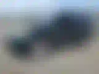 Vehicle Image- 2013 Ford Explorer