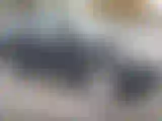 Vehicle Image- 2015 Ford Explorer