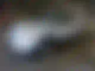 Vehicle Image- 2015 Ford Explorer